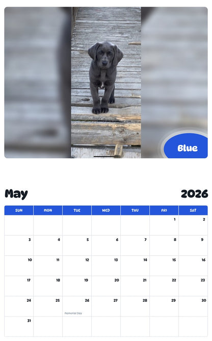 2026 - 2027 Blue - Pawidols Pet Calendar