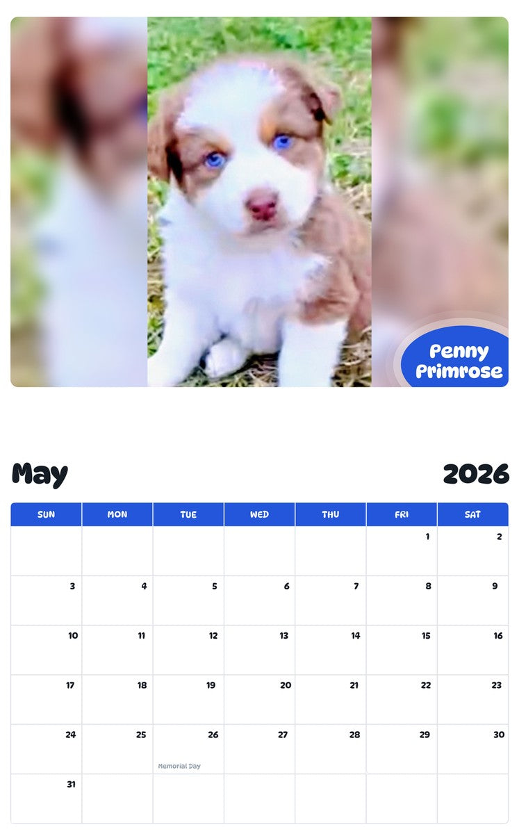 2026 - 2027 Penny Primrose - Pawidols Pet Calendar