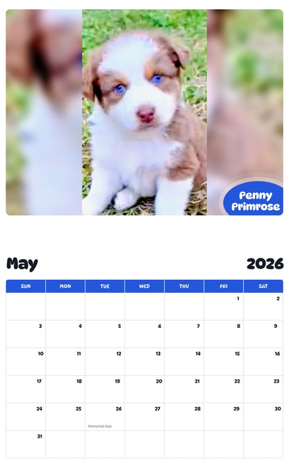 2026 - 2027 Penny Primrose - Pawidols Pet Calendar