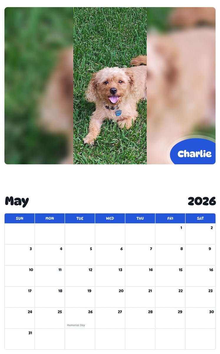 2026 - 2027 Charlie - Pawidols Pet Calendar