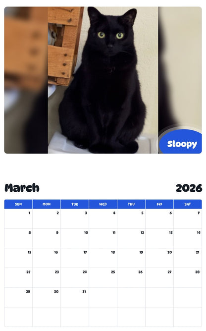 November 2025 - October 2026 Sloopy - Pawidols Pet Calendar