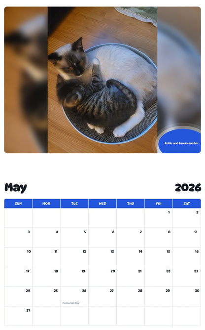 2026 - 2027 Rollie and Bandersnatch - Pawidols Pet Calendar