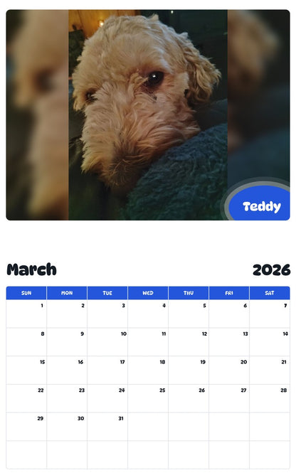 November 2025 - October 2026 Teddy - Pawidols Pet Calendar