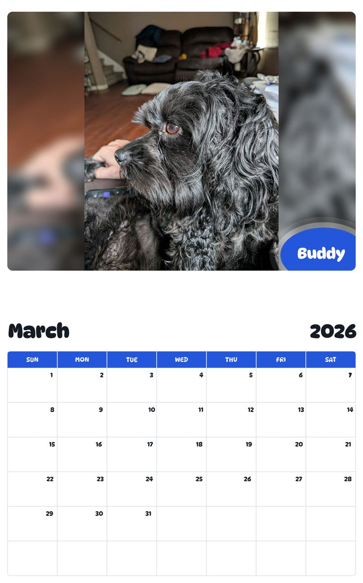 November 2025 - October 2026 Buddy - Pawidols Pet Calendar