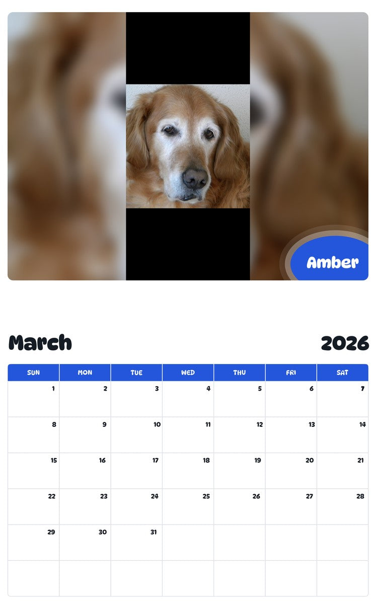 November 2025 - October 2026 Amber - Pawidols Pet Calendar
