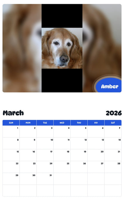 November 2025 - October 2026 Amber - Pawidols Pet Calendar