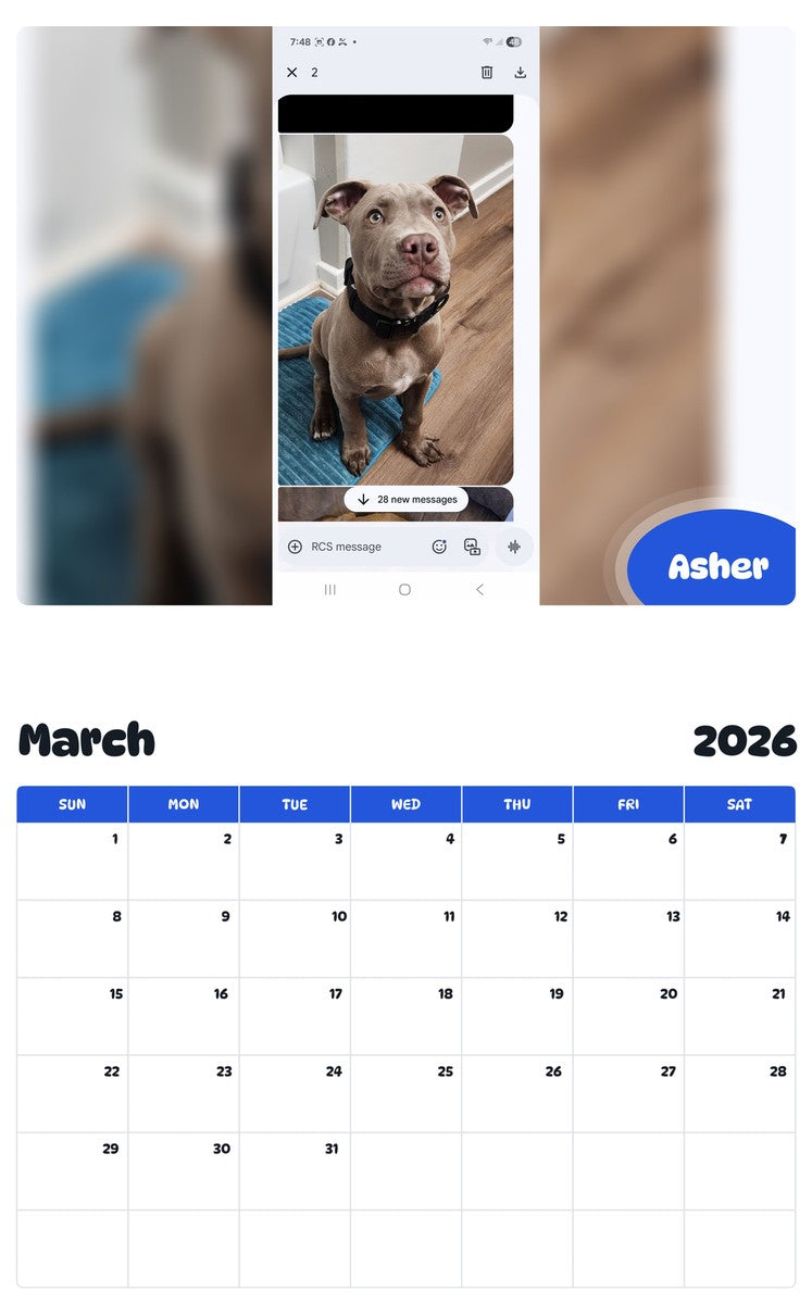 November 2025 - October 2026 Asher - Pawidols Pet Calendar