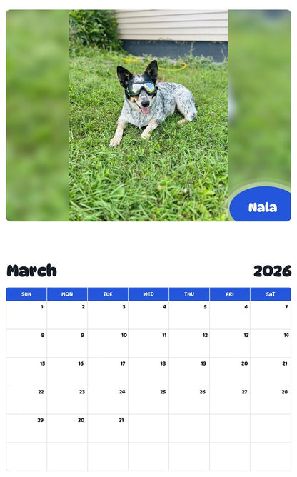 November 2025 - October 2026 Nala - Pawidols Pet Calendar