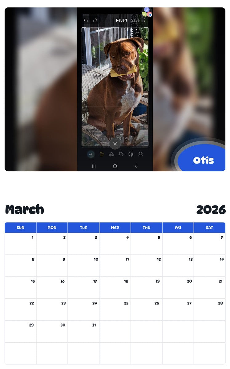 November 2025 - October 2026 Otis - Pawidols Pet Calendar