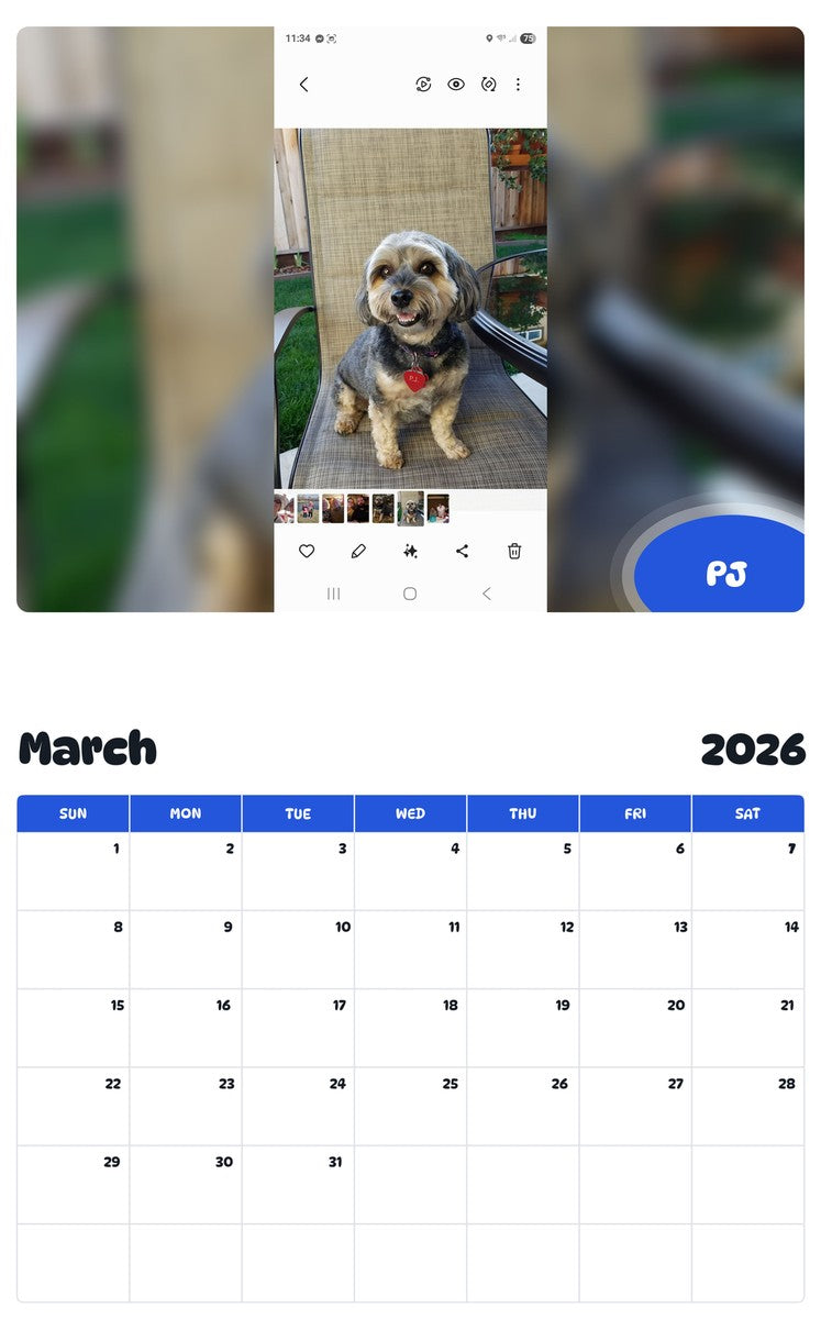 November 2025 - October 2026 PJ - Pawidols Pet Calendar