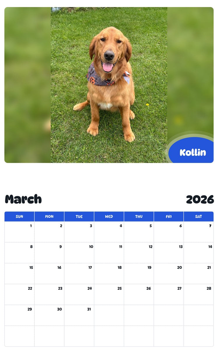 November 2025 - October 2026 Kollin - Pawidols Pet Calendar