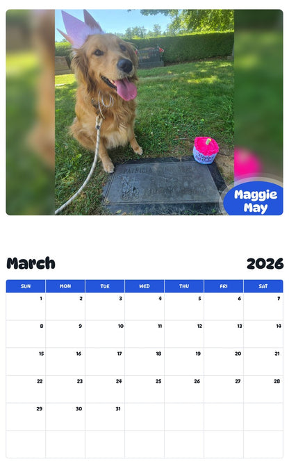November 2025 - October 2026 Maggie May - Pawidols Pet Calendar