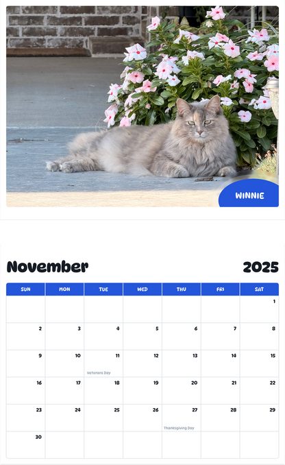 July 2025 - June 2026 Winnie - Pawidols Pet Calendar