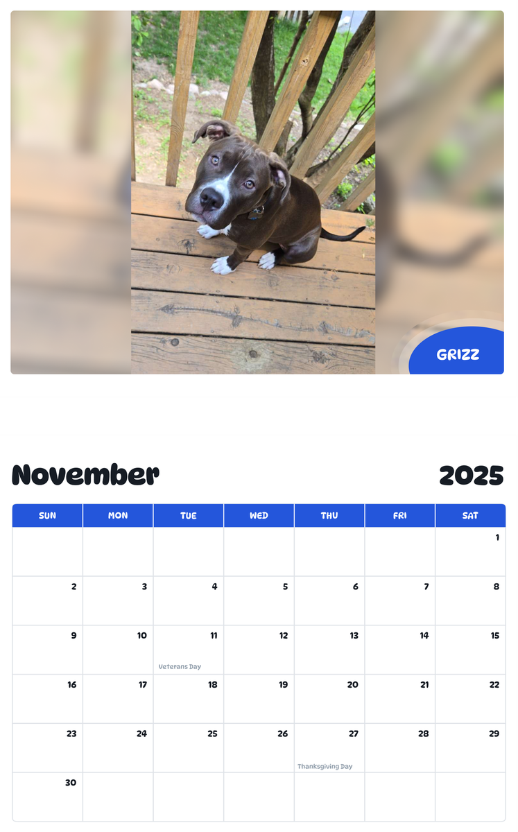 July 2025 - June 2026 Grizz - Pawidols Pet Calendar