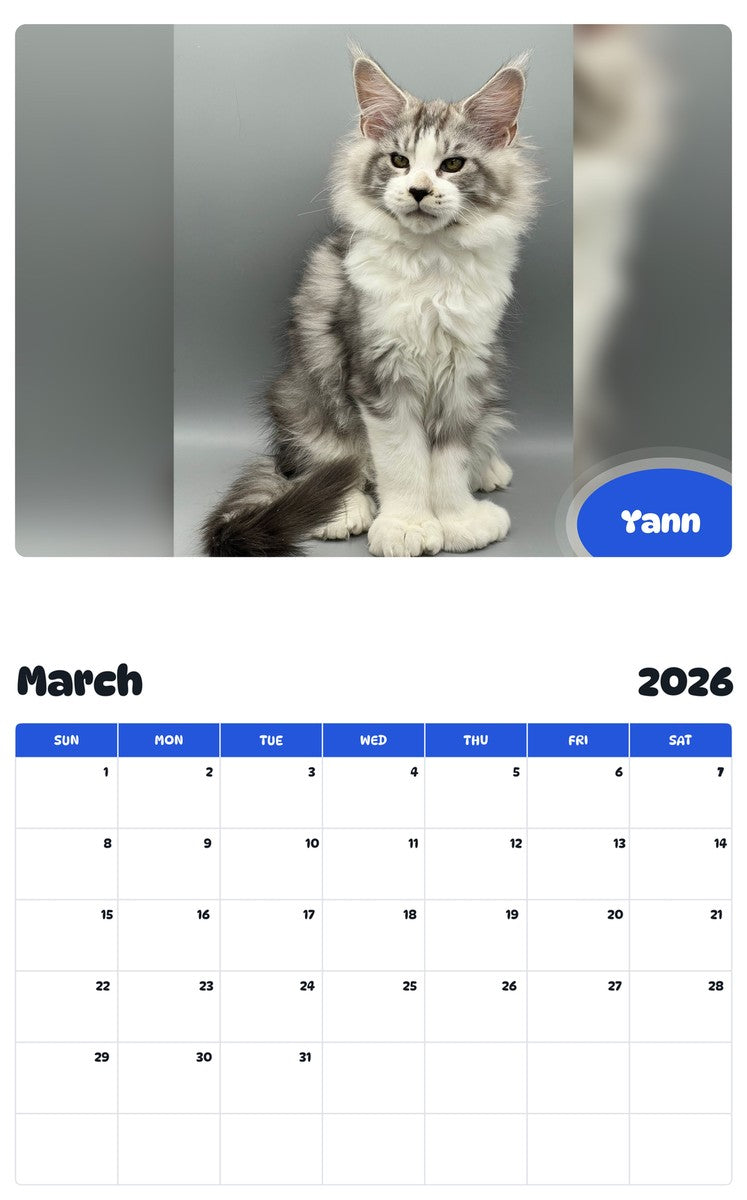 November 2025 - October 2026 Yann - Pawidols Pet Calendar