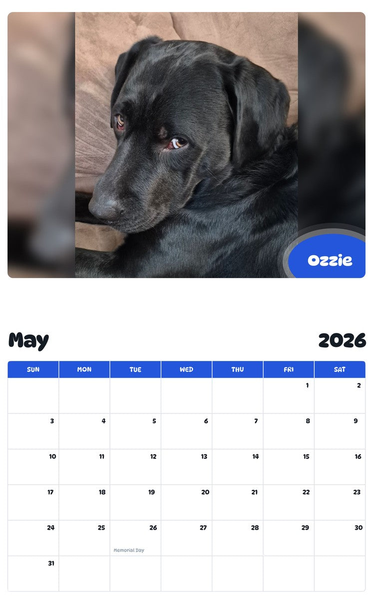 2026 - 2027 Ozzie - Pawidols Pet Calendar