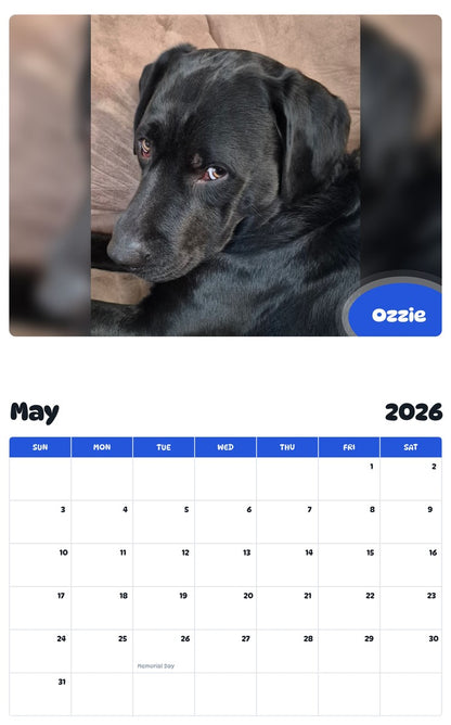 2026 - 2027 Ozzie - Pawidols Pet Calendar