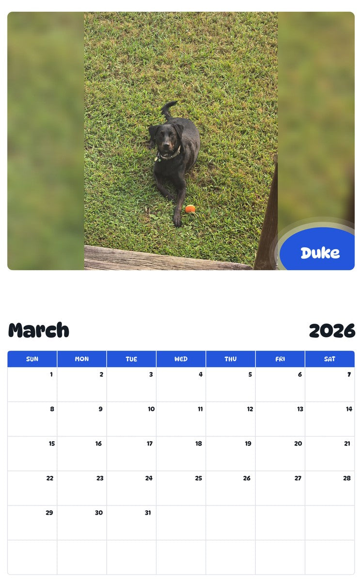 November 2025 - October 2026 Duke - Pawidols Pet Calendar