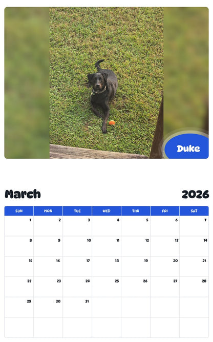 November 2025 - October 2026 Duke - Pawidols Pet Calendar