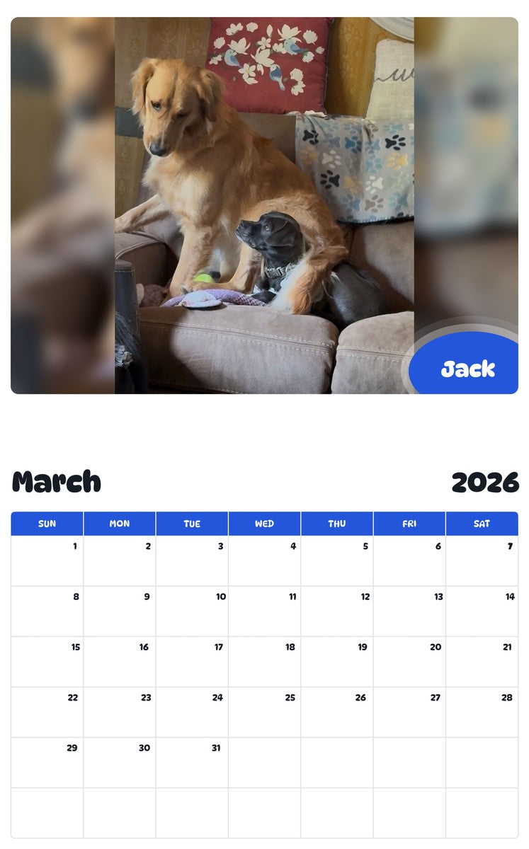 November 2025 - October 2026 Jack - Pawidols Pet Calendar