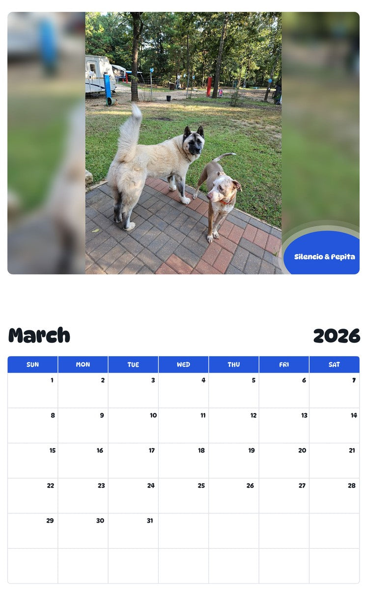 November 2025 - October 2026 Silencio & Pepita - Pawidols Pet Calendar