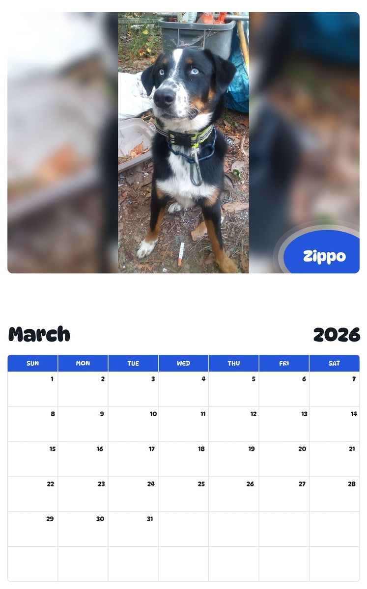 November 2025 - October 2026 Zippo - Pawidols Pet Calendar