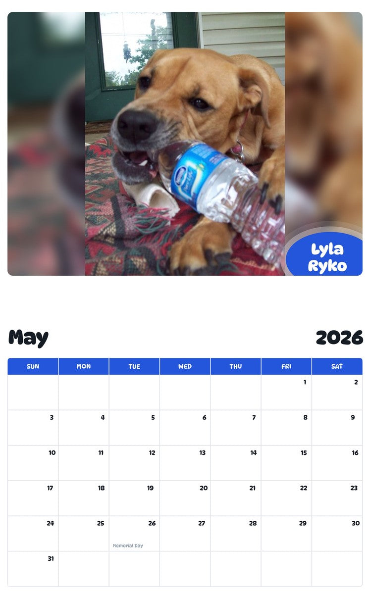 2026 - 2027 Lyla Ryko - Pawidols Pet Calendar