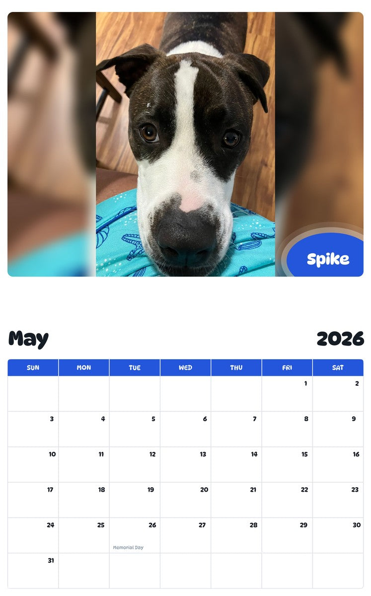 2026 - 2027 Spike - Pawidols Pet Calendar