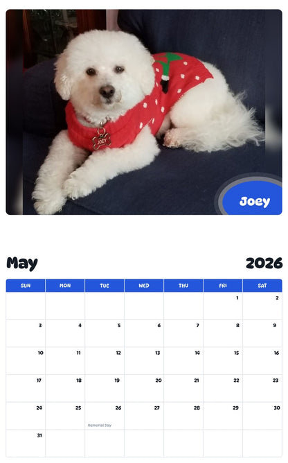 2026 - 2027 Joey - Pawidols Pet Calendar