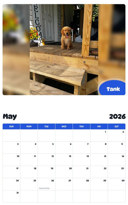 2026 - 2027 Tank - Pawidols Pet Calendar