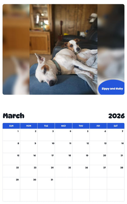 November 2025 - October 2026 Zippy and Ruby - Pawidols Pet Calendar