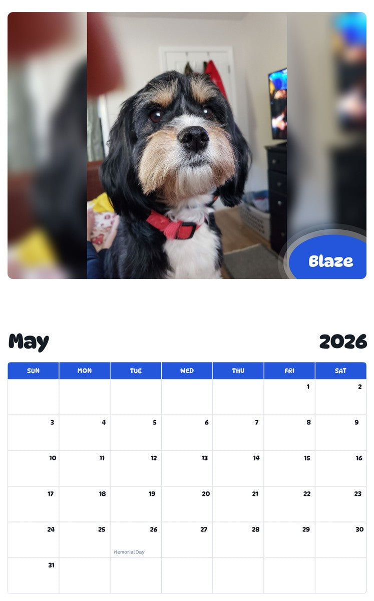 2026 - 2027 Blaze - Pawidols Pet Calendar