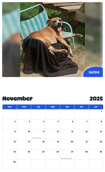 July 2025 - June 2026 Saddie - Pawidols Pet Calendar