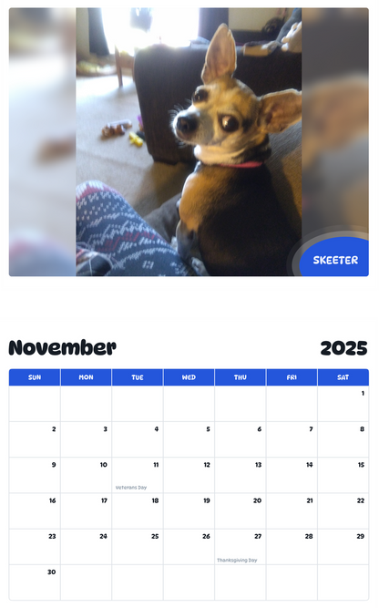 July 2025 - June 2026 Skeeter - Pawidols Pet Calendar