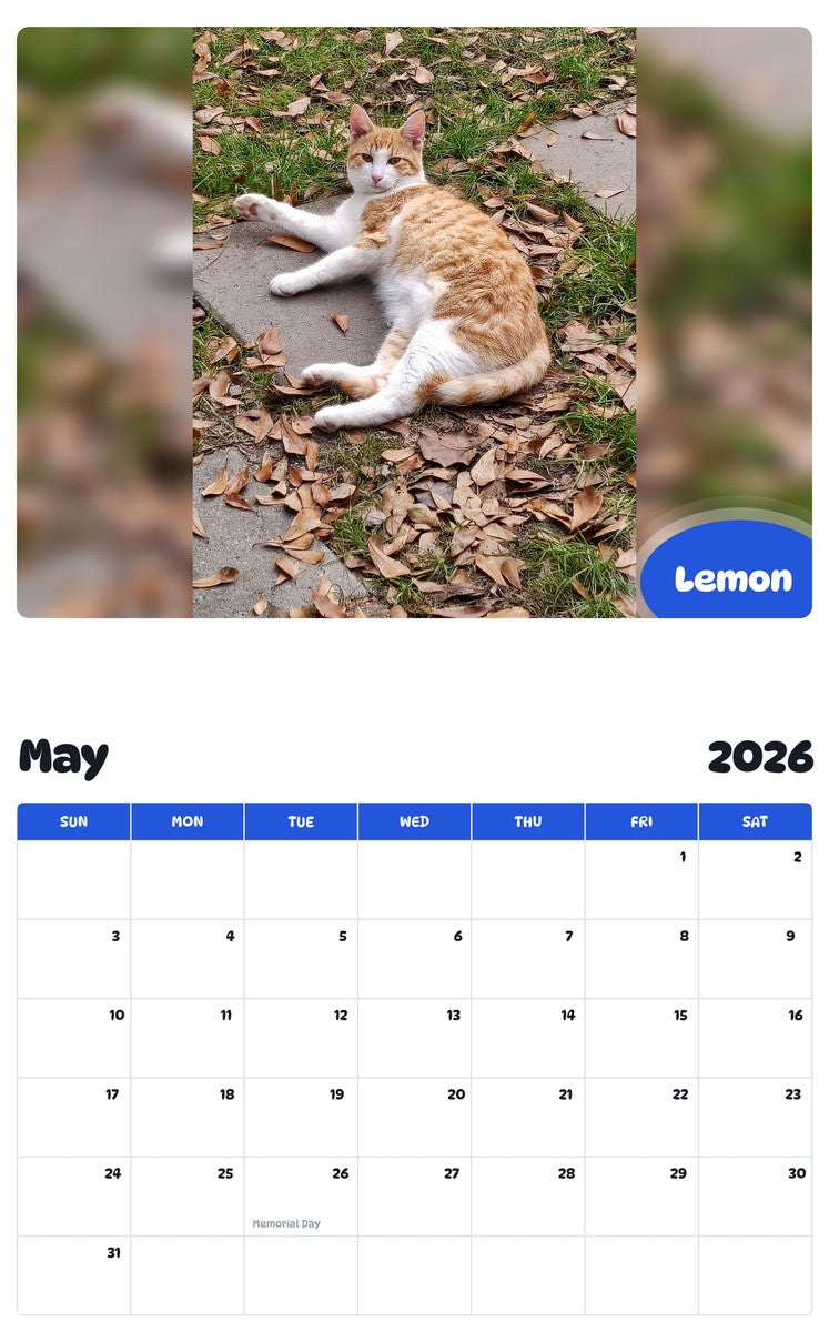 2026 - 2027 Lemon - Pawidols Pet Calendar