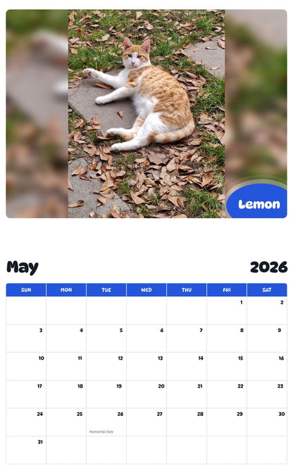 2026 - 2027 Lemon - Pawidols Pet Calendar