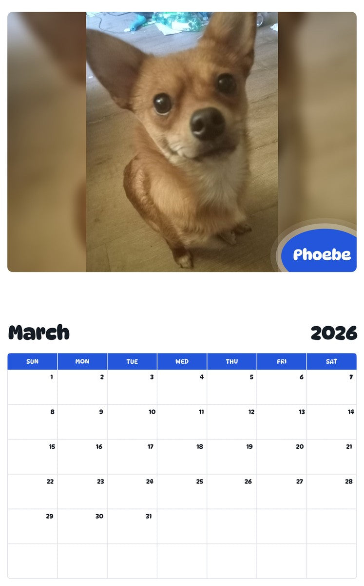 November 2025 - October 2026 Phoebe - Pawidols Pet Calendar