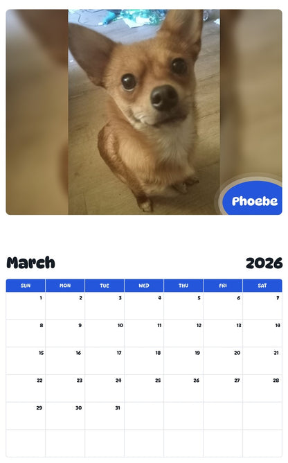 November 2025 - October 2026 Phoebe - Pawidols Pet Calendar