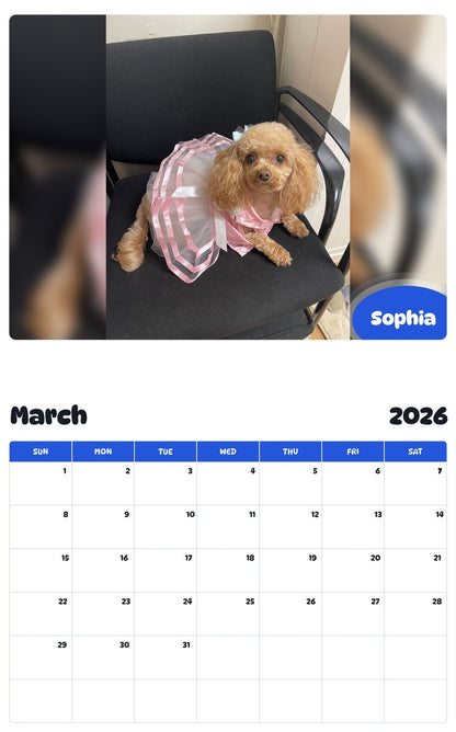 November 2025 - October 2026 Sophia - Pawidols Pet Calendar