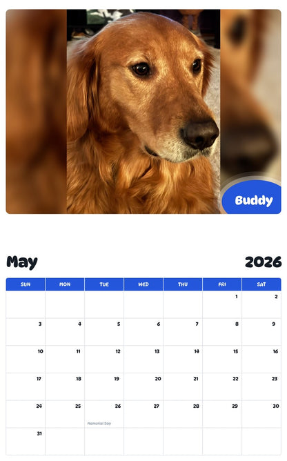 2026 - 2027 Buddy - Pawidols Pet Calendar
