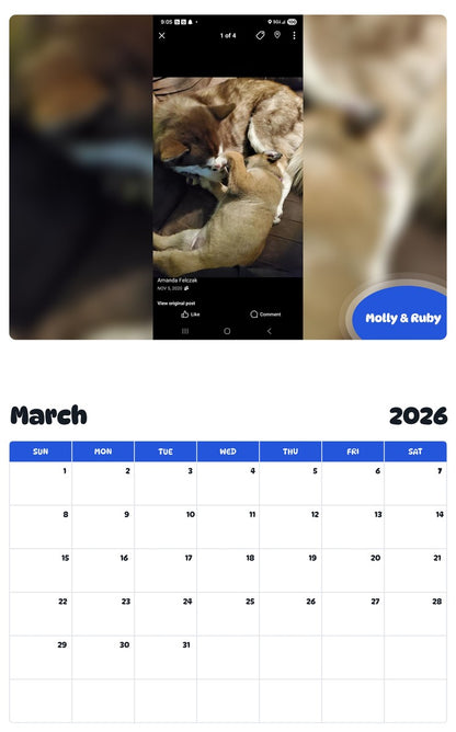 November 2025 - October 2026 Molly & Ruby - Pawidols Pet Calendar
