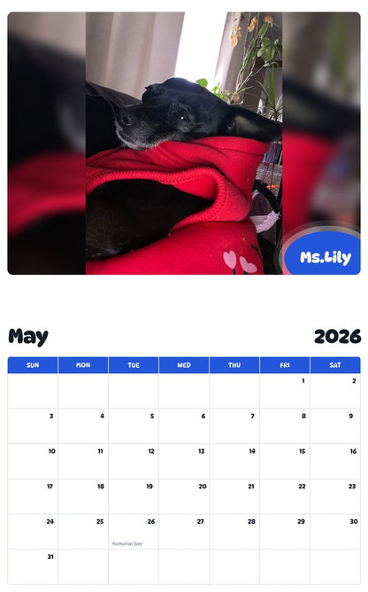 2026 - 2027 Ms.Lily - Pawidols Pet Calendar