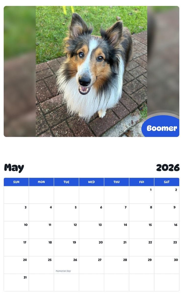 2026 - 2027 Boomer - Pawidols Pet Calendar