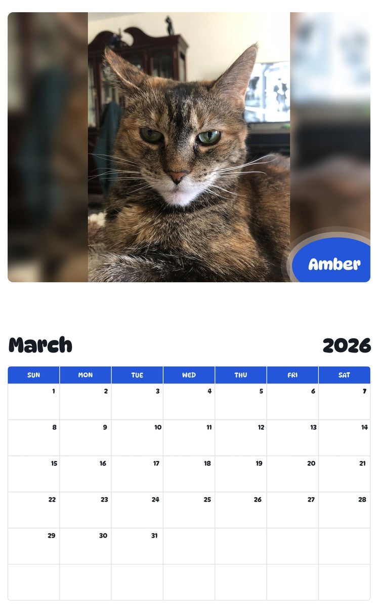 November 2025 - October 2026 Amber - Pawidols Pet Calendar
