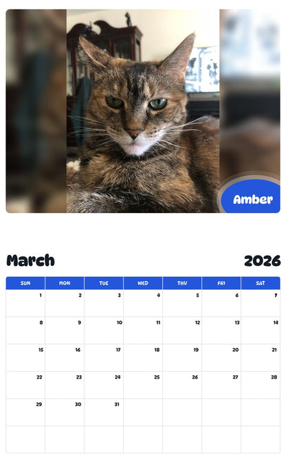 November 2025 - October 2026 Amber - Pawidols Pet Calendar