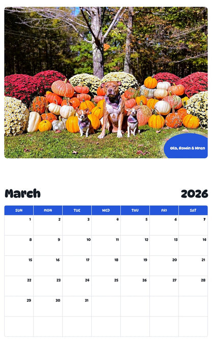 November 2025 - October 2026 Ola, Rowin & Wren - Pawidols Pet Calendar