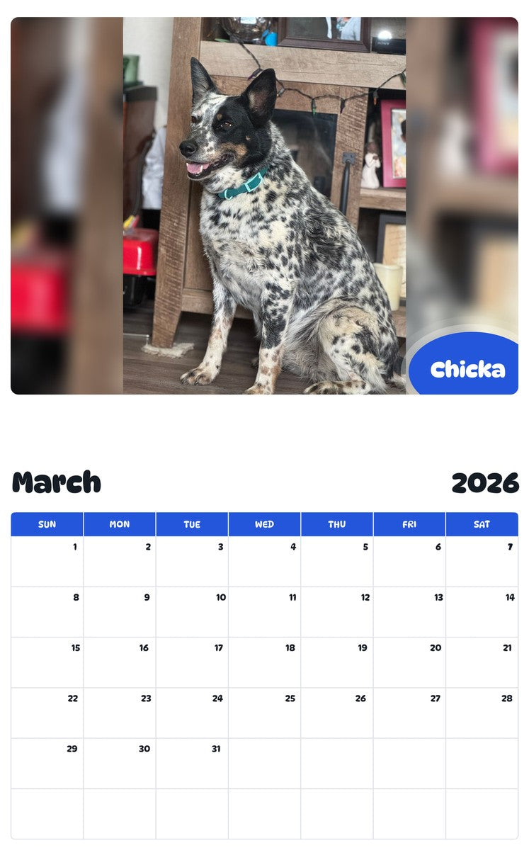 November 2025 - October 2026 Chicka - Pawidols Pet Calendar
