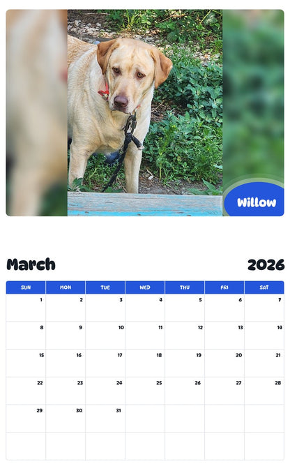 November 2025 - October 2026 Willow - Pawidols Pet Calendar