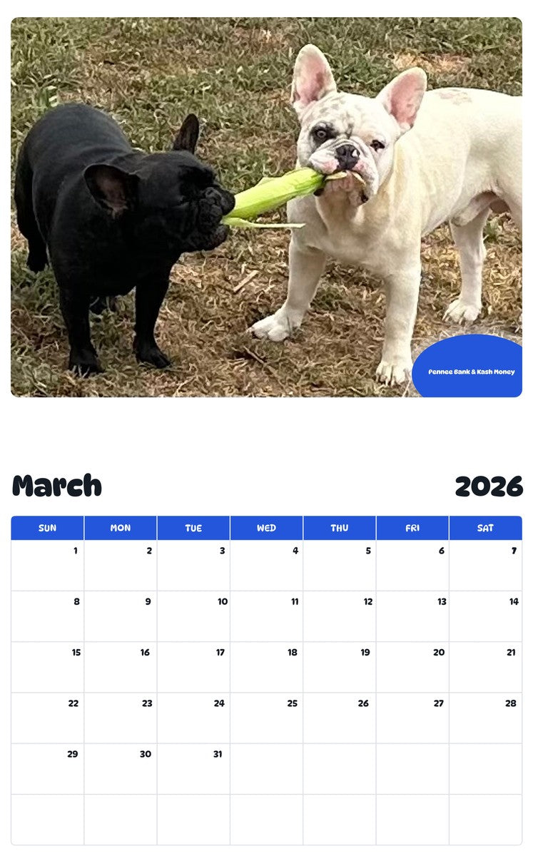 November 2025 - October 2026 Pennee Bank & Kash Money - Pawidols Pet Calendar