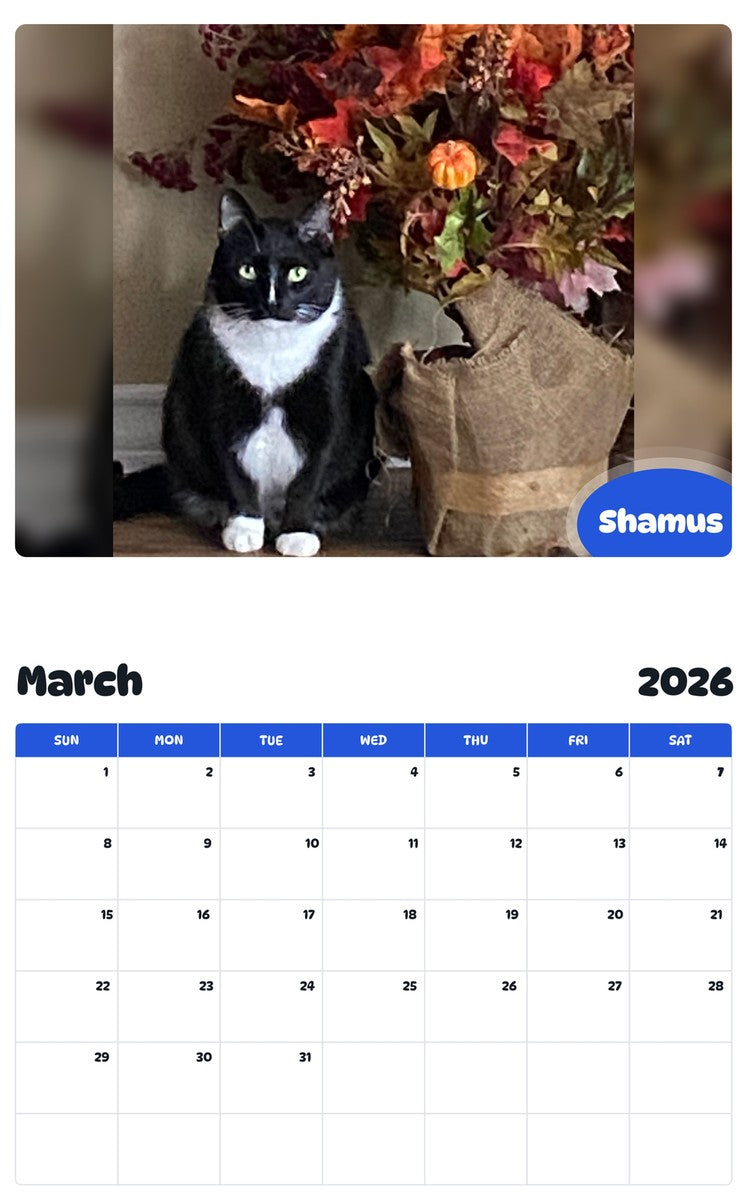 November 2025 - October 2026 Shamus - Pawidols Pet Calendar